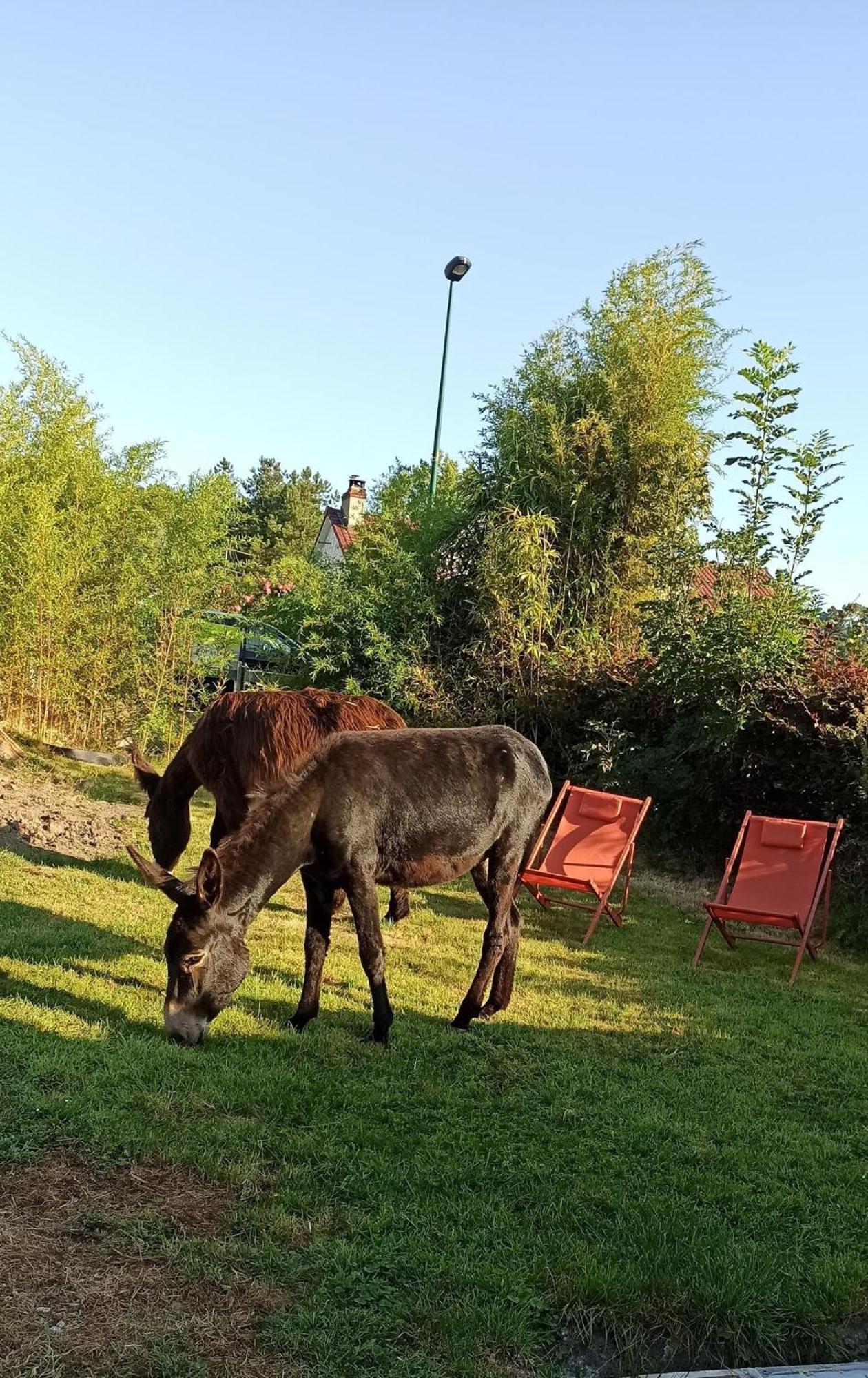 Les Anes Du Chateau D Hardelot, Pour 2 A 5 Pers Condette Buitenkant foto